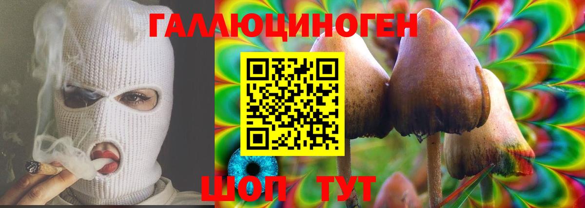 Галлюциногенные грибы Psilocybe Жигулёвск